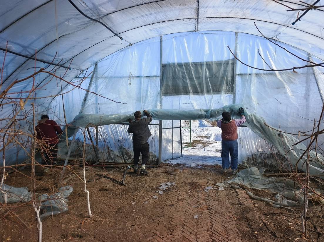 2eb79e815468203ef5f644387a3b73a4