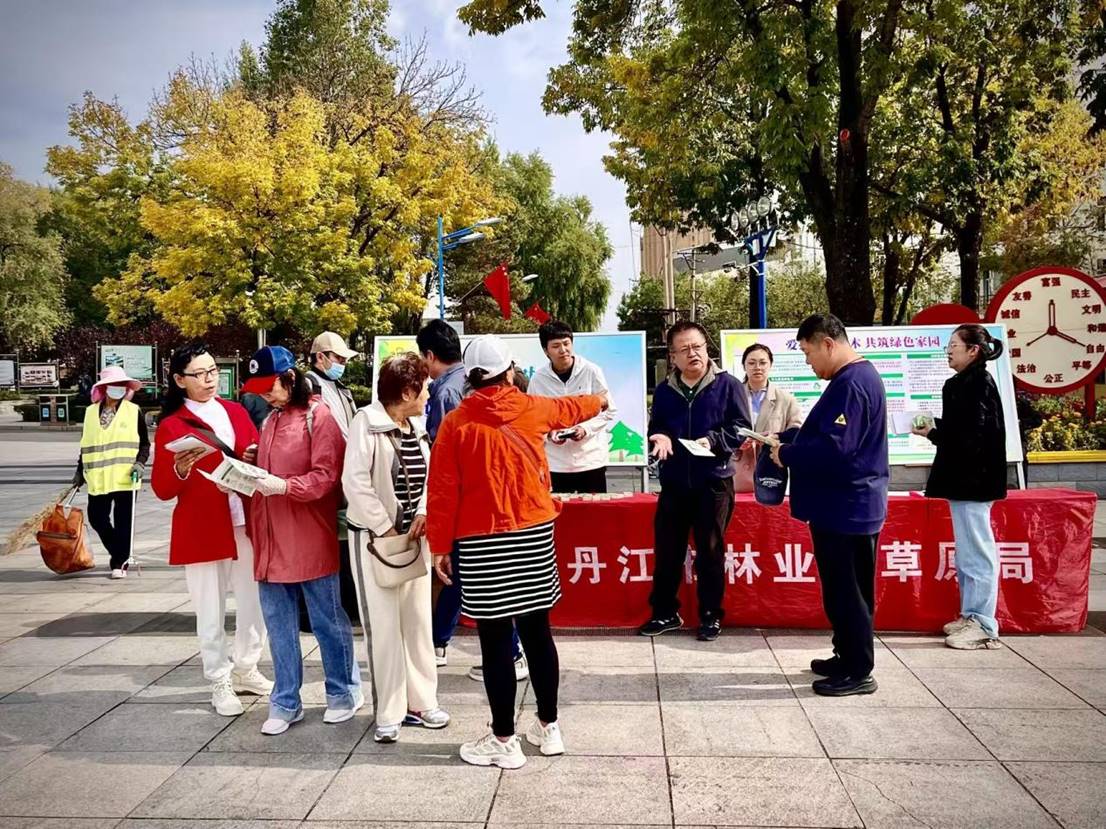 图片1