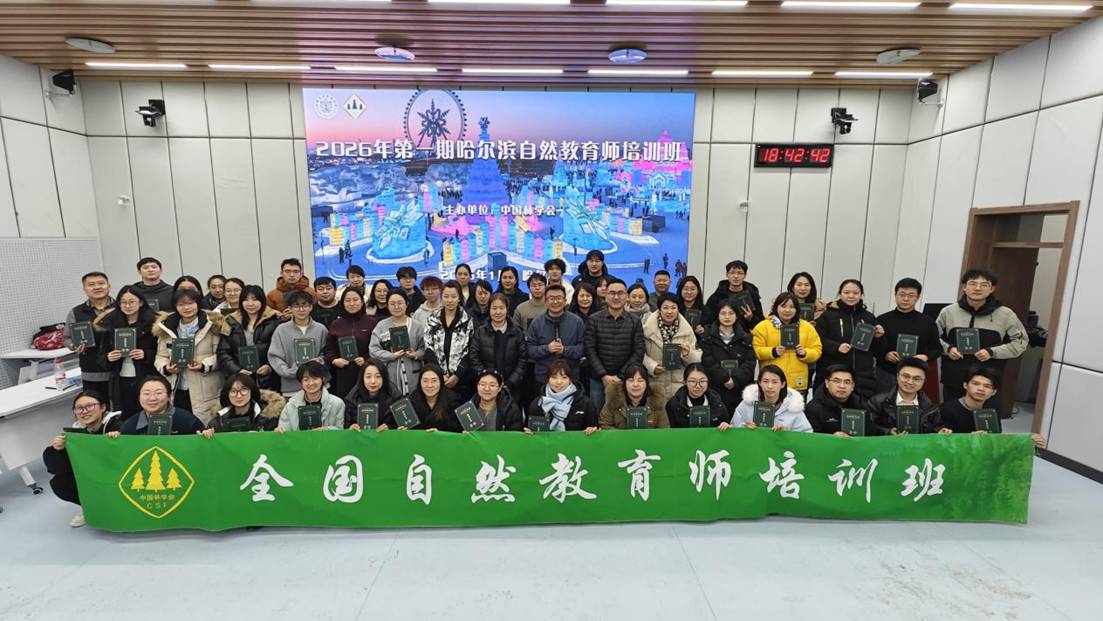 62a4f7d3ca0cbff23c6b90ad7ad4b0f