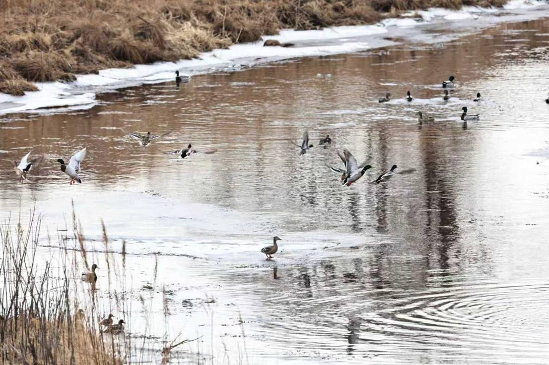 61653bcc8db8d5a13e7cc86a82a8daf7