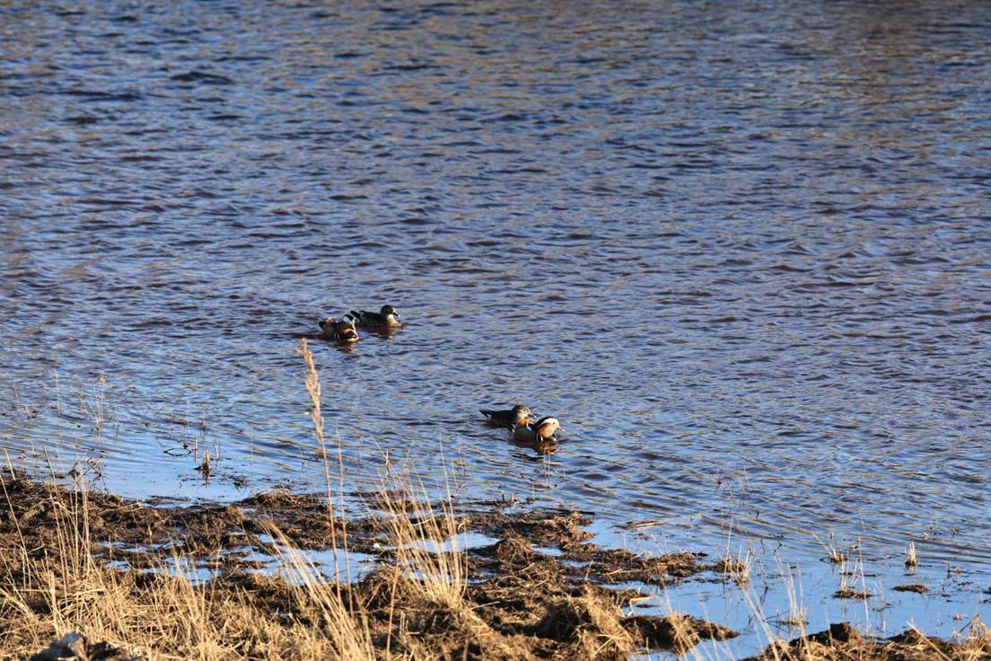 be7785dbac6f0e8fd5c2055f3027db98