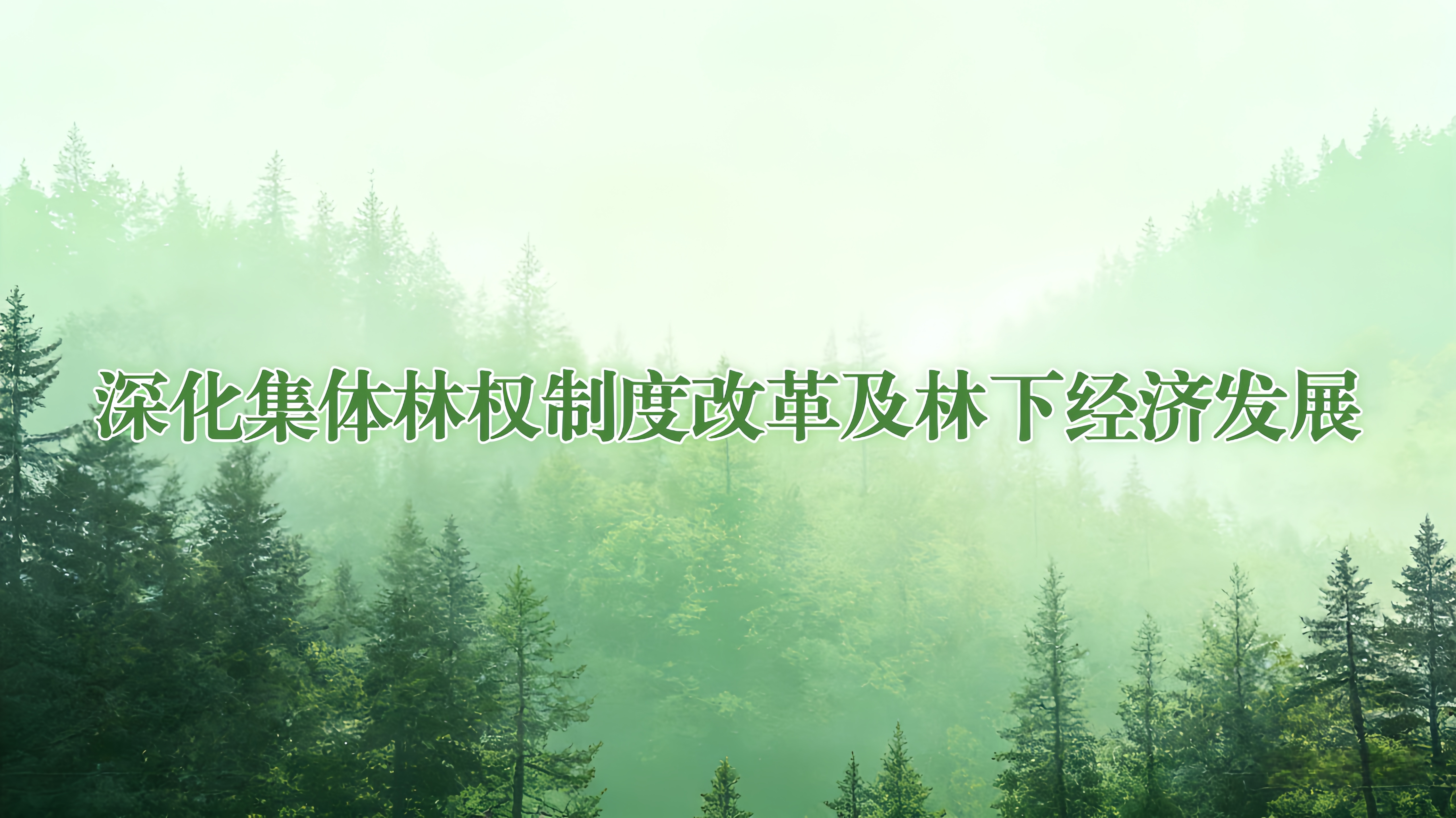 深化集体林权制度改革及林下经济发展