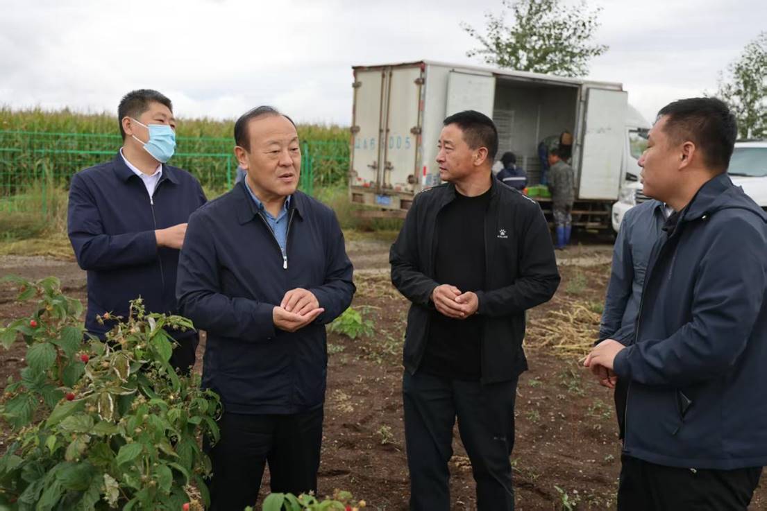 6e2e7537d2cb507e6993a950df6fed8