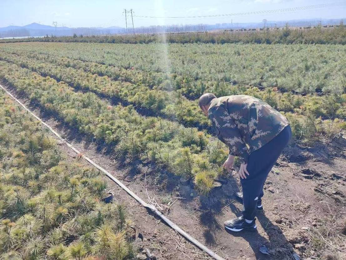 6987e7cdd66515892c6ee6b039a16c05